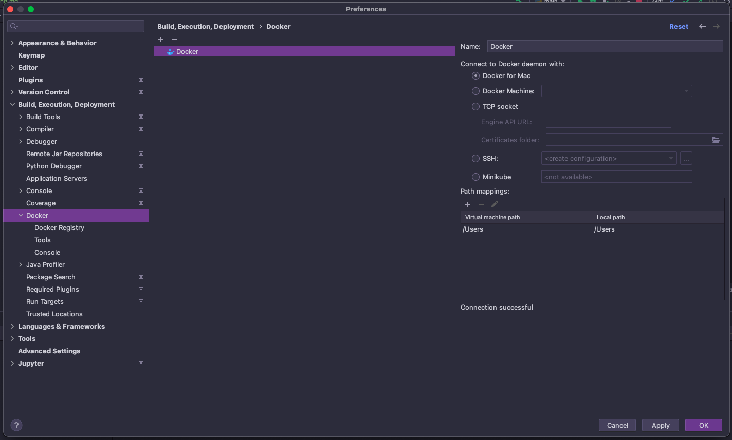 Screenshot of IDE Docker setup